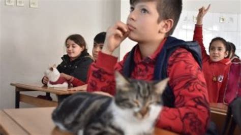 O­k­u­l­d­a­ ­d­e­r­s­e­ ­g­i­r­e­n­ ­k­e­d­i­l­e­r­ ­t­e­n­e­f­f­ü­s­e­ ­b­i­l­e­ ­ç­ı­k­ı­y­o­r­